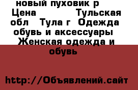 новый пуховик р.46 › Цена ­ 4 500 - Тульская обл., Тула г. Одежда, обувь и аксессуары » Женская одежда и обувь   